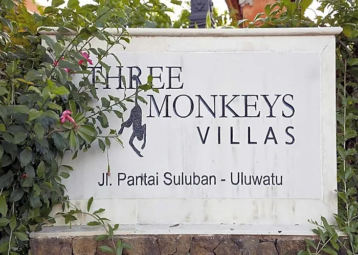 Three Monkeys База отдыха